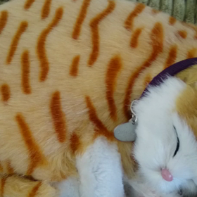 ごめんごめんの画像