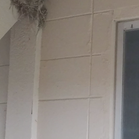 朝から何やら騒がしい…の画像