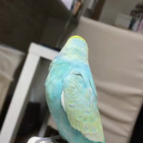 静かにしなさいの画像