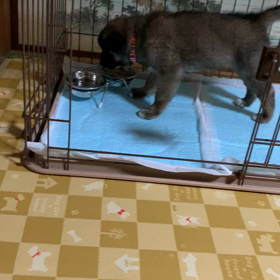 もぐもぐタイムの画像