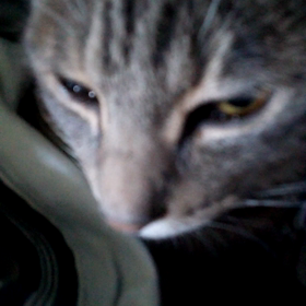 駆け抜けた二ヶ月の画像