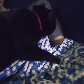 フィギアスケート(=^ェ^=)の画像