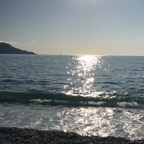 ”ブログ仲間と地元を楽しんだよ(｡-∀-｡)①三嶋大社⛩編”の画像