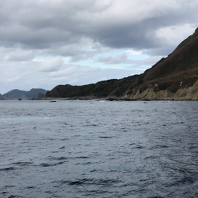 iPhoneでも写せたの画像