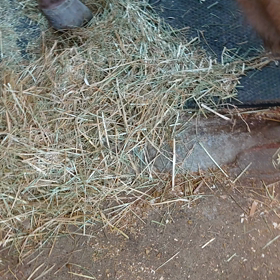 ルーティーン？の画像