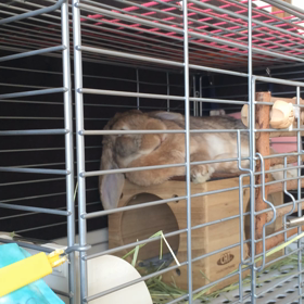 ペロペロ…からの〜の画像