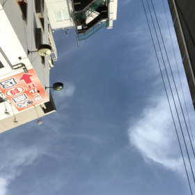 髪型の画像