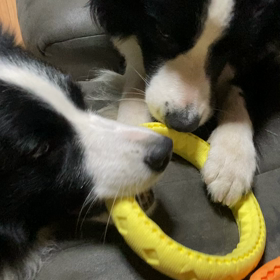 2021/08/02日々の癒しの画像