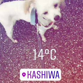 意外な盲点…。知ってました？髪を短くすると…の画像