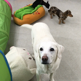 ♪プレイルーム動画♪①の画像