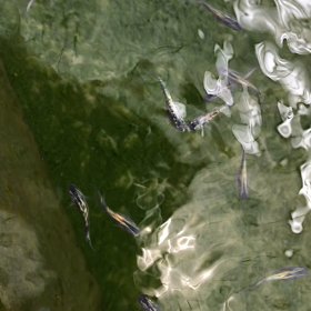 1ペアプラスSALEまだまだ続きますo( ^_^ )oの画像