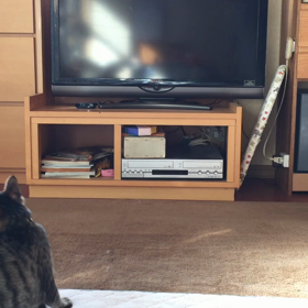 ジャンプ( ´∀｀)の画像