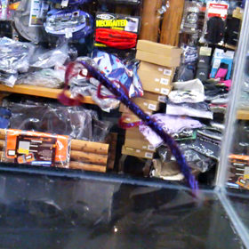 アノストプラスネコ(movie)の画像