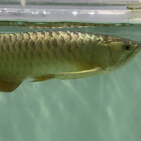 愛知尾張から全国へ！の画像