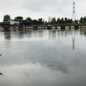 たまにはヘラも ^_^の画像