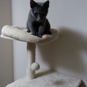 フミフミはやっぱり可愛いの画像