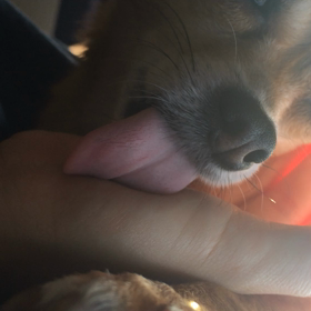 休日の朝♡の画像