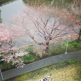 防御の話。の画像