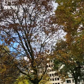 もう冬。の画像