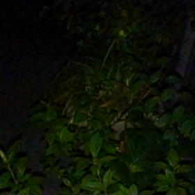 秋は近い？の画像