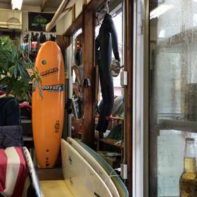 シーモン久々の登場！の画像