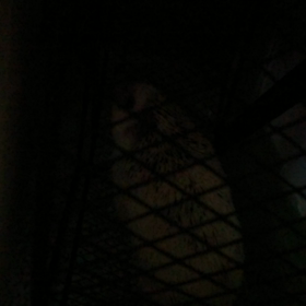 ♯走る～走る～♪♯の画像