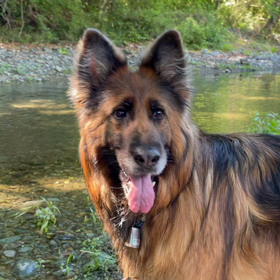 シェリ　　もう少し　はじけようよの画像