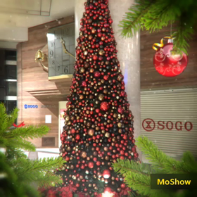 クリスマスイブ…の画像