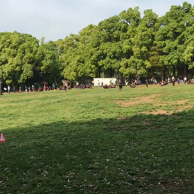 10色リレー折り返し地点④の画像