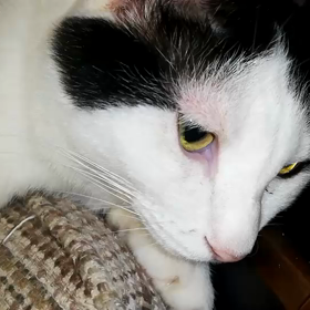 ＜息子＞帰校後の日々の画像