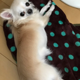 久々投稿だよの画像