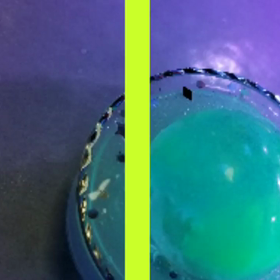 はむたと姪のお喋りと姪の目標は・・・なお話の画像