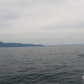 8月11日の琵琶湖の画像