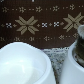 好みが変わった?の画像