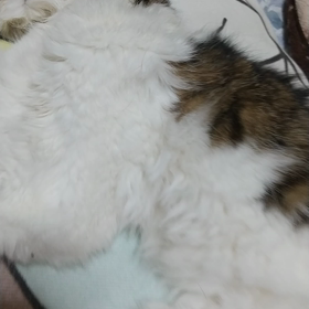 二時間後の画像