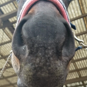 仕事前ボンちゃんの画像