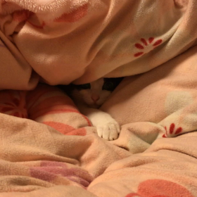 党首さすがです（笑）の画像