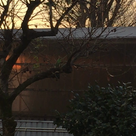 NHK受信料請求の最高裁判決が出てのその後…の画像