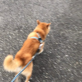 新たなる挑戦。の画像