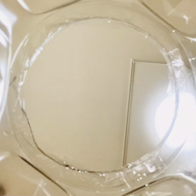 へパロのショート動画3の画像