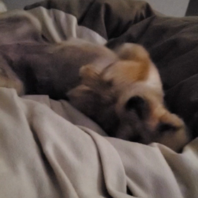 ゼジューラ1日目。の画像