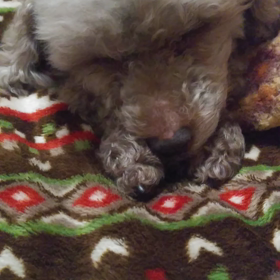 イギリスのことわざの画像