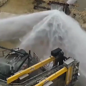 ハープ　cruelhistory/2816の画像