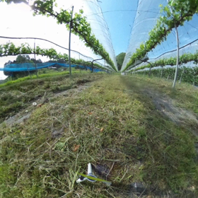 なかなかの快晴の画像