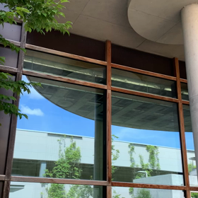 月一治療。。。の画像