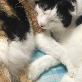 うつるんです〰♬の画像