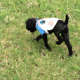 ビフォーアフター⑵の画像