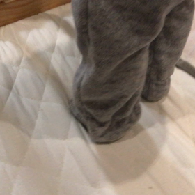 とうとう！の画像