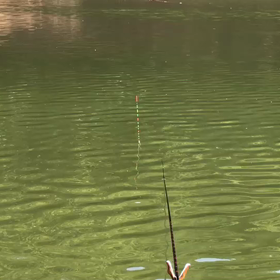 こんなのを釣りたいっ！の画像