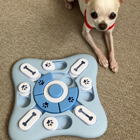 犬の知育玩具の画像